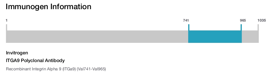 ITGA9 Polyclonal Antibody