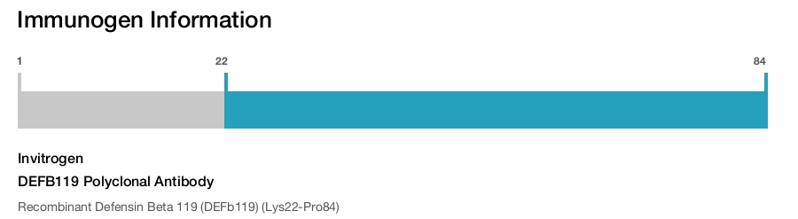 DEFB119 Polyclonal Antibody