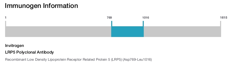 LRP5 Polyclonal Antibody
