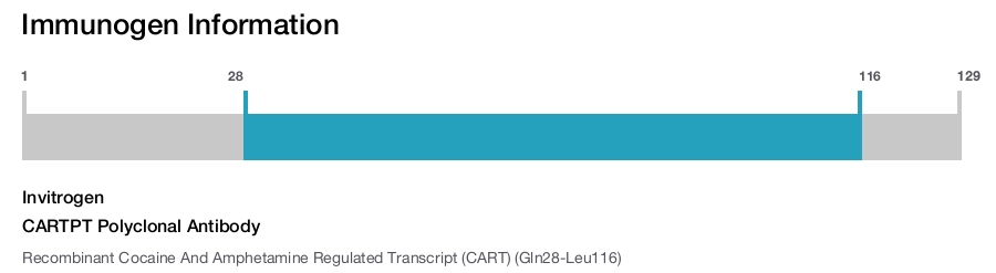 CARTPT Polyclonal Antibody