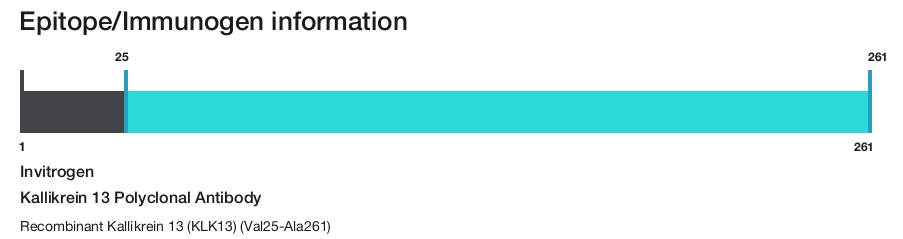 Kallikrein 13 Polyclonal Antibody