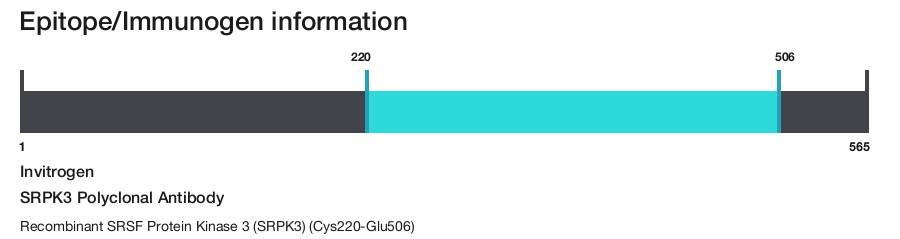 SRPK3 Polyclonal Antibody
