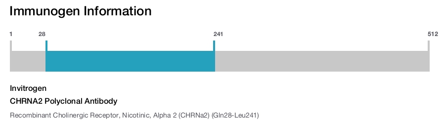 CHRNA2 Polyclonal Antibody