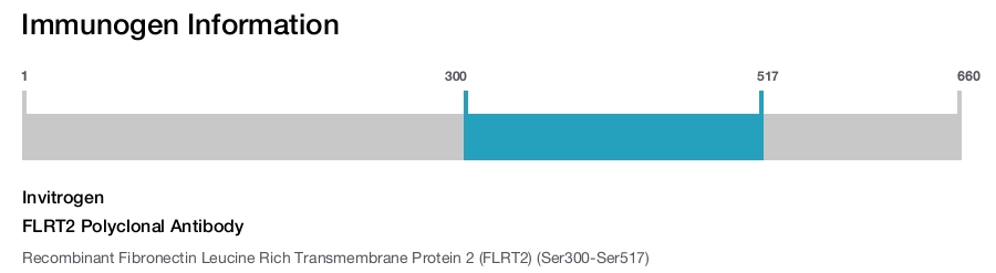 FLRT2 Polyclonal Antibody