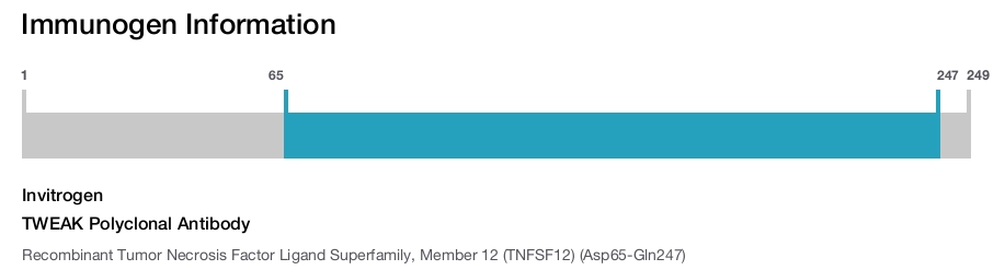 TWEAK Polyclonal Antibody