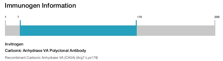 Carbonic Anhydrase VA Polyclonal Antibody