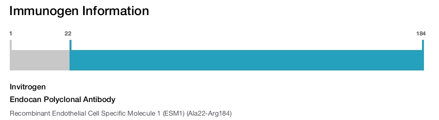 Endocan Polyclonal Antibody