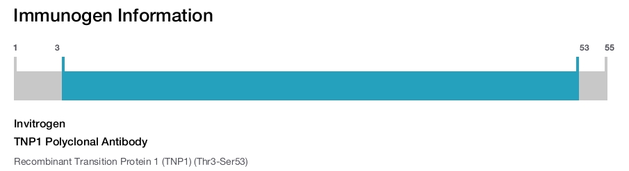 TNP1 Polyclonal Antibody
