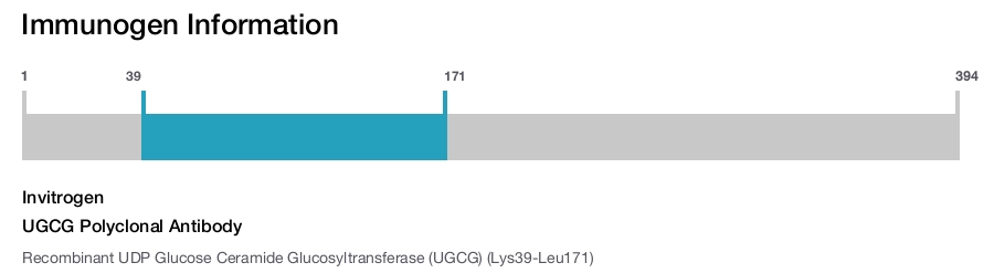 UGCG Polyclonal Antibody