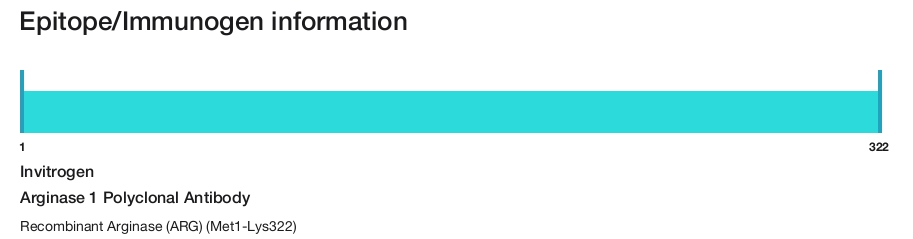 Arginase 1 Polyclonal Antibody