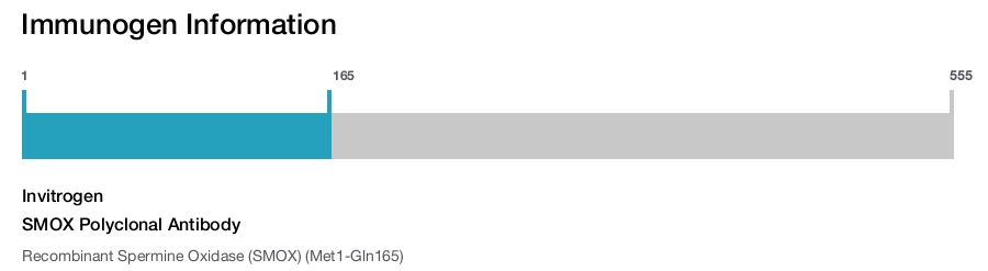 SMOX Polyclonal Antibody
