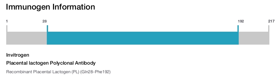 Placental lactogen Polyclonal Antibody