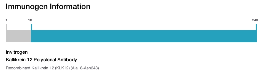 Kallikrein 12 Polyclonal Antibody