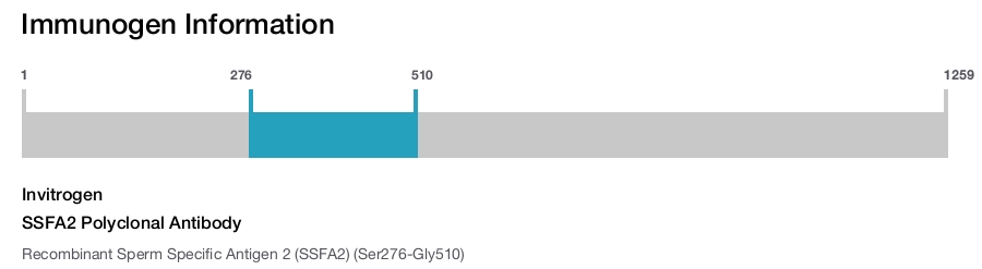 SSFA2 Polyclonal Antibody