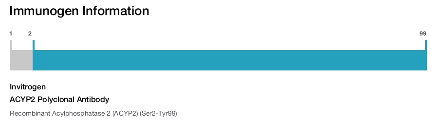 ACYP2 Polyclonal Antibody
