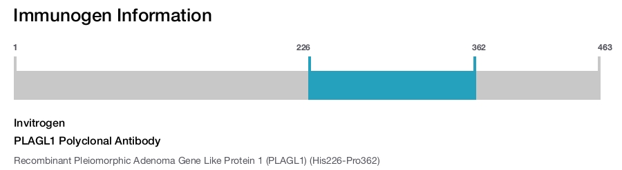 PLAGL1 Polyclonal Antibody