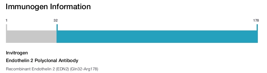 Endothelin 2 Polyclonal Antibody