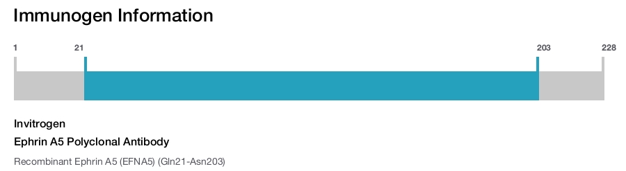 Ephrin A5 Polyclonal Antibody