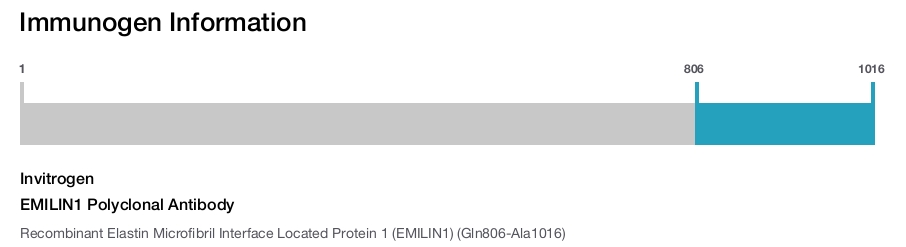 EMILIN1 Polyclonal Antibody
