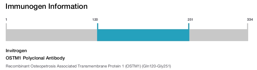OSTM1 Polyclonal Antibody