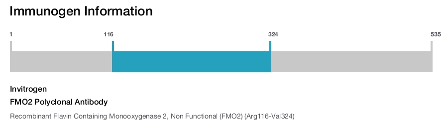 FMO2 Polyclonal Antibody