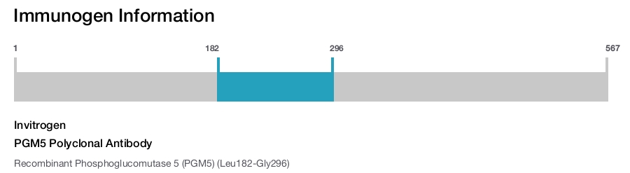 PGM5 Polyclonal Antibody