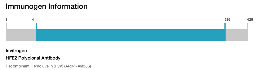 HFE2 Polyclonal Antibody