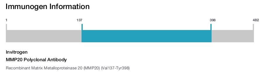 MMP20 Polyclonal Antibody