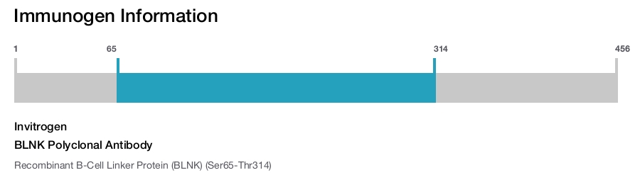 BLNK Polyclonal Antibody