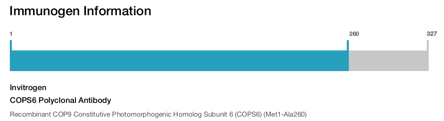 COPS6 Polyclonal Antibody