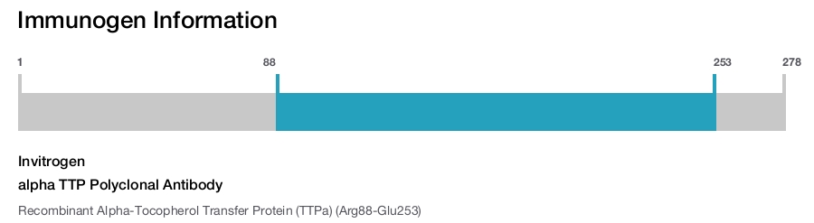 alpha TTP Polyclonal Antibody