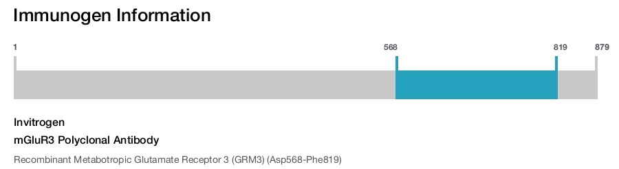 mGluR3 Polyclonal Antibody