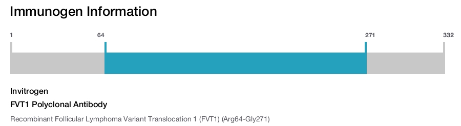 FVT1 Polyclonal Antibody