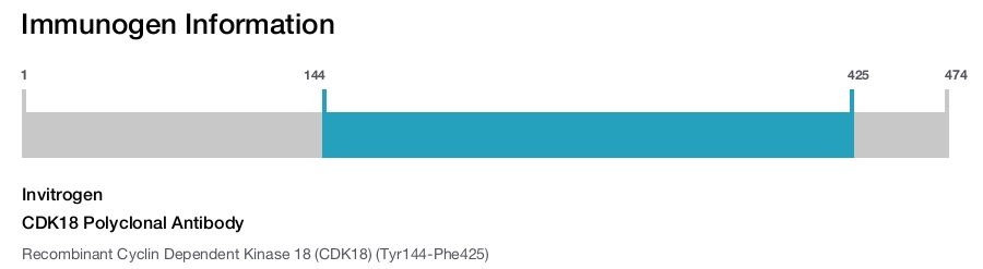 CDK18 Polyclonal Antibody