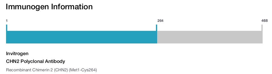 CHN2 Polyclonal Antibody
