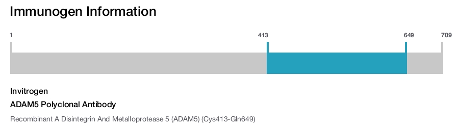 ADAM5 Polyclonal Antibody