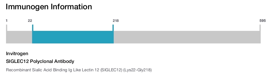 SIGLEC12 Polyclonal Antibody