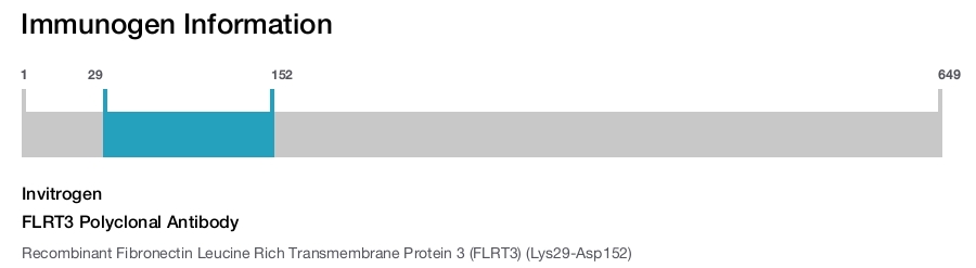 FLRT3 Polyclonal Antibody