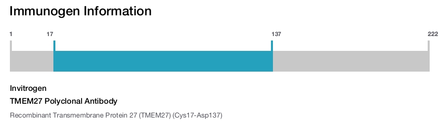 TMEM27 Polyclonal Antibody