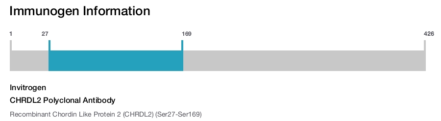 CHRDL2 Polyclonal Antibody