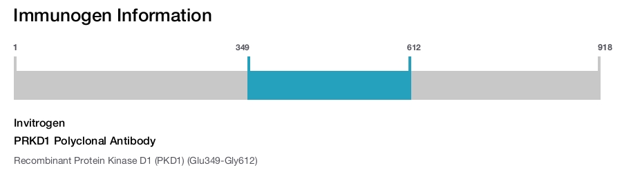 PRKD1 Polyclonal Antibody