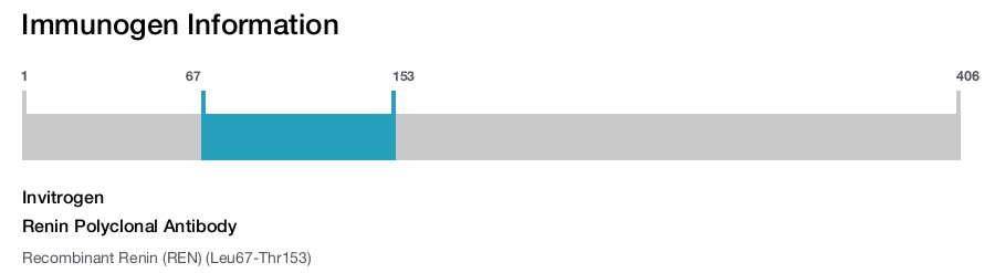 Renin Polyclonal Antibody