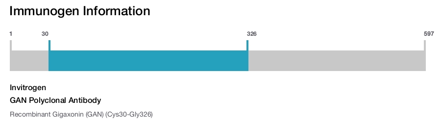GAN Polyclonal Antibody