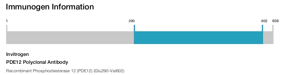 PDE12 Polyclonal Antibody