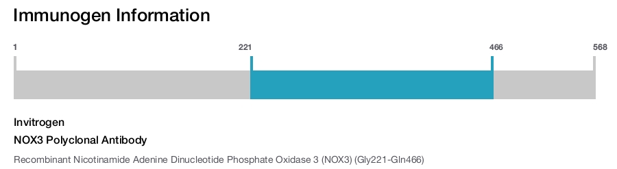 NOX3 Polyclonal Antibody