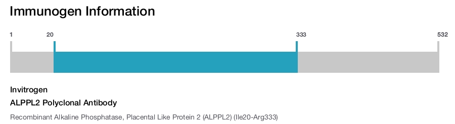 ALPPL2 Polyclonal Antibody