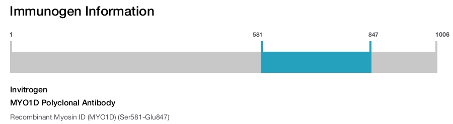MYO1D Polyclonal Antibody