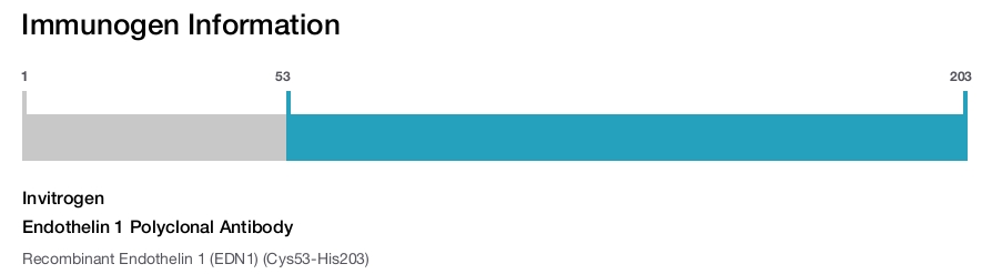 Endothelin 1 Polyclonal Antibody
