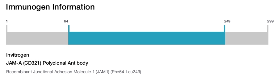 JAM-A (CD321) Polyclonal Antibody
