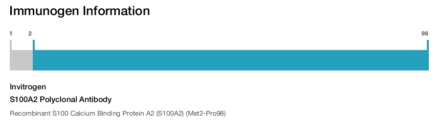 S100A2 Polyclonal Antibody